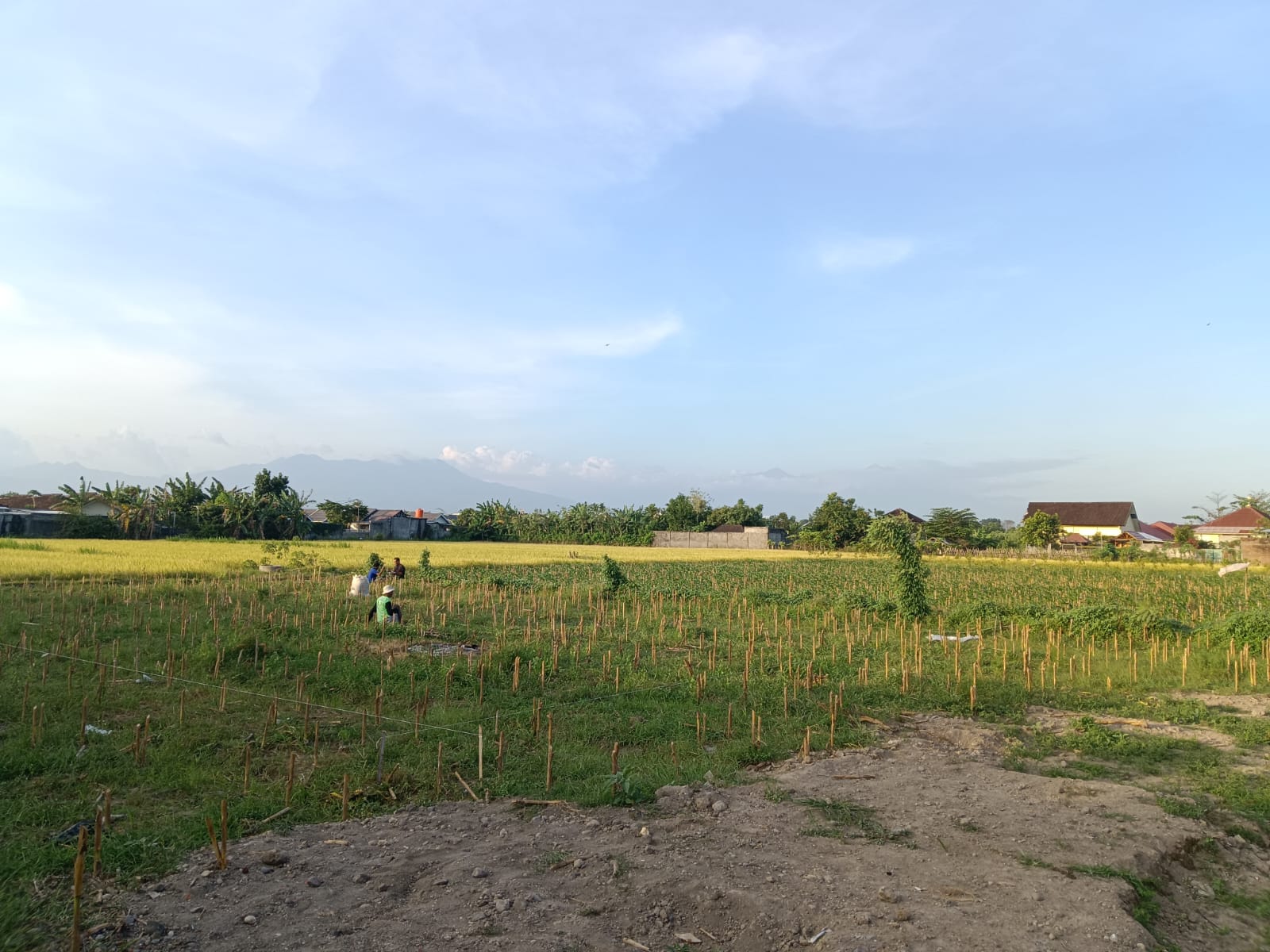 Pembangunan Green House Agrowisata